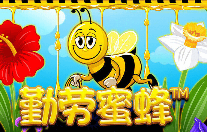 王中王100℅期期准澳彩